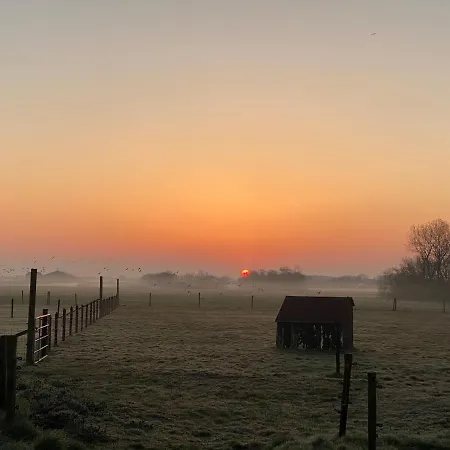 Bed & Breakfast Logies Boszicht Texel 3*